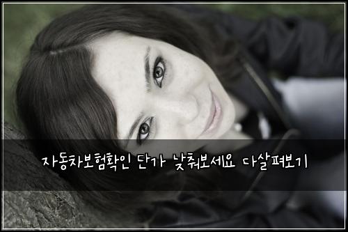 자동차보험확인 단가 낮춰보세요 다살펴보기