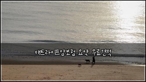 ๋งคํธ๋ผ์ดํ์๋ณดํ ์์ฝ ๋ฌด๋ฃ๊ฒฌ์ 