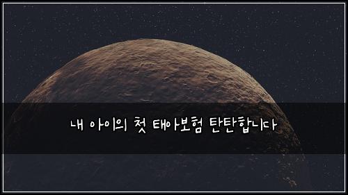 ๋ด ์์ด์ ์ฒซ ํ์๋ณดํ ํํํฉ๋๋ค