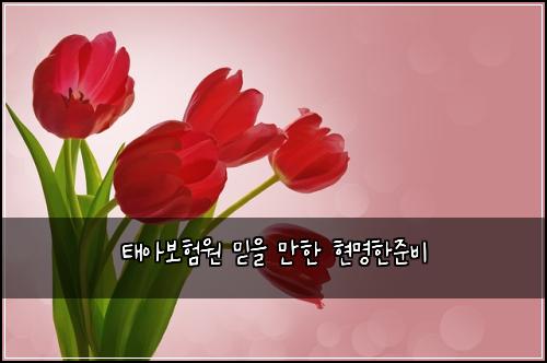 태아보험원 믿을 만한 현명한준비
