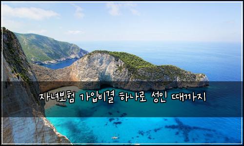 자녀보험 가입비결  하나로 성인 때까지