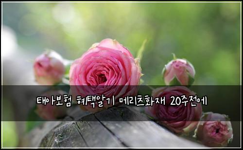 ํ์๋ณดํ ํํ์๊ธฐ ๋ฉ๋ฆฌ์ธ ํ์ฌ 20์ฃผ์ ์