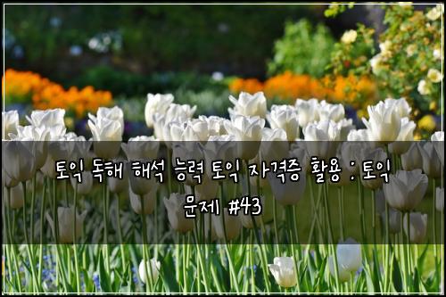토익 독해 해석 능력 토익 자격증 활용 : 토익 문제 #43