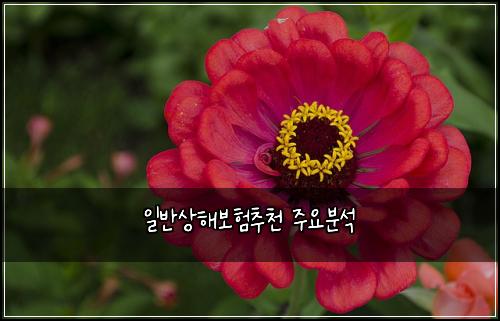 일반상해보험추천 주요분석