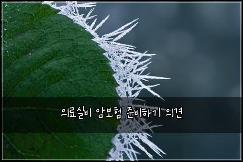 μλ£μ€λΉ μ보ν μ€λΉνκΈ° μ견