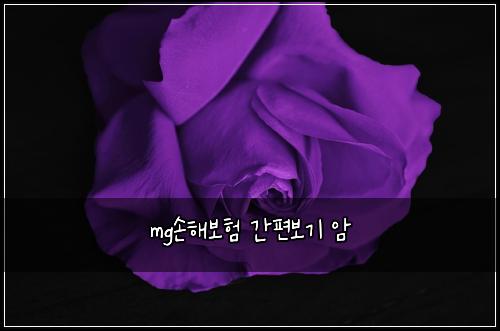 mg์ํด๋ณดํ ๊ฐํธ๋ณด๊ธฐ ์