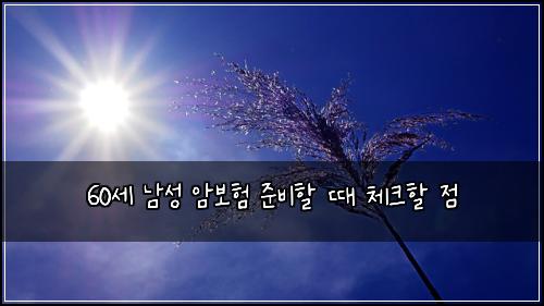 60세 남성 암보험 준비할 때 체크할 점