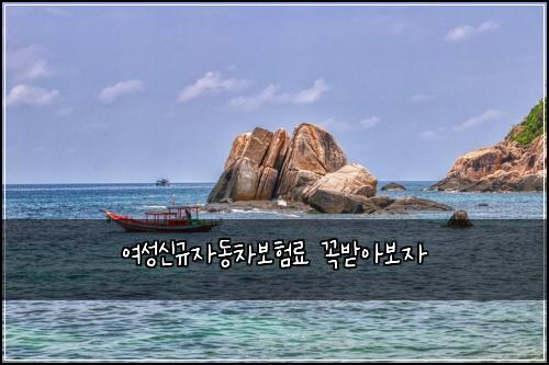์ฌ์ฑ์ ๊ท์๋์ฐจ๋ณดํ๋ฃ ๊ผญ๋ฐ์๋ณด์