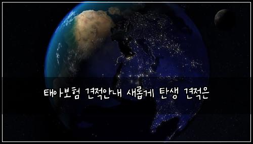 태아보험 견적안내  새롭게 탄생 견적은