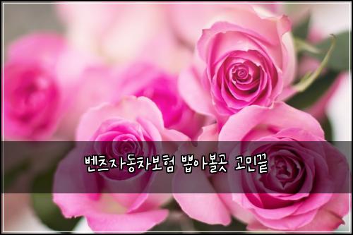 λ²€μΈ μλ차보ν λ½μλ³Όκ³³ κ³ λ―Όλ