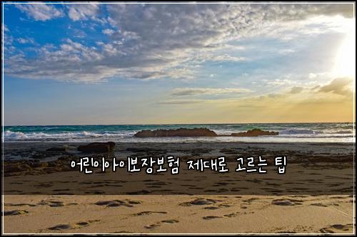 어린이아이보장보험 제대로 고르는 팁