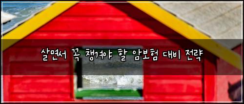 살면서 꼭 챙겨야 할 암보험 대비 전략