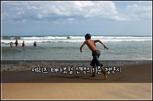 메리츠 태아보험 선택의기준  청약시