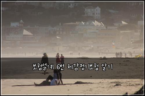 보험설계 6번 체감정기보험 알기