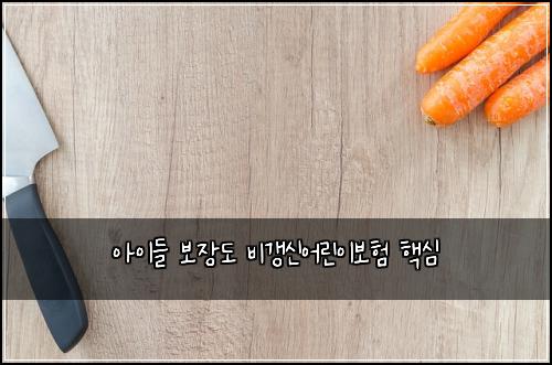 ์์ด๋ค ๋ณด์ฅ๋ ๋น๊ฐฑ์ ์ด๋ฆฐ์ด๋ณดํ ํต์ฌ
