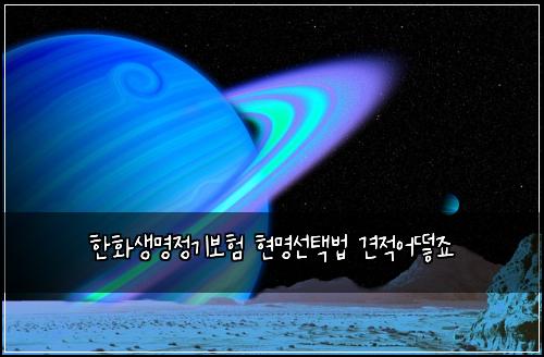 한화생명정기보험 현명선택법  견적어떻죠