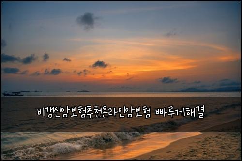 ๋น๊ฐฑ์ ์๋ณดํ์ถ์ฒ์จ๋ผ์ธ์๋ณดํ ๋น ๋ฃจ๊ฒํด๊ฒฐ