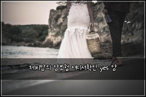 ์ ๋น๋ง์ ์๋ณดํ ์ด๋์ํ์ธ yes ์