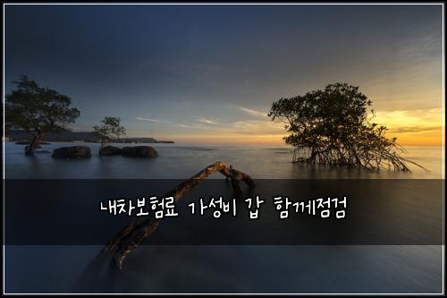 λ΄μ°¨λ³΄νλ£ κ°μ±λΉ κ° ν¨κ»μ κ²