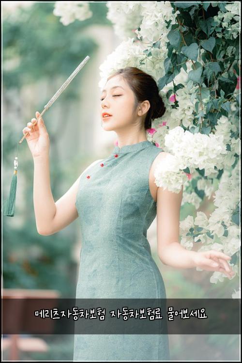 ๋ฉ๋ฆฌ์ธ ์๋์ฐจ๋ณดํ ์๋์ฐจ๋ณดํ๋ฃ ๋ฌผ์ด๋ณด์ธ์