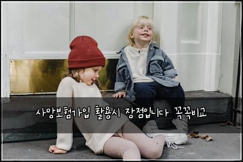 사망보험가입 활용시 장점입니다 꼭꼭비교