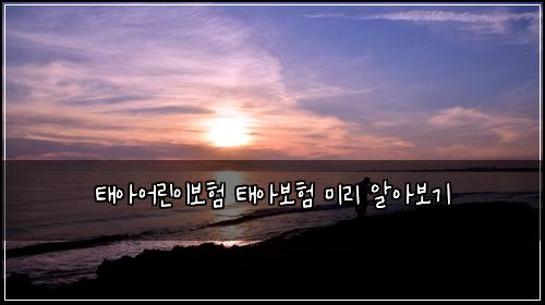 태아어린이보험 태아보험 미리 알아보기