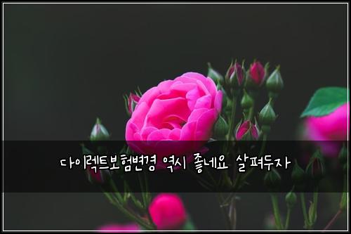 ๋ค์ด๋ ํธ๋ณดํ๋ณ๊ฒฝ ์ญ์ ์ข๋ค์ ์ดํด๋์