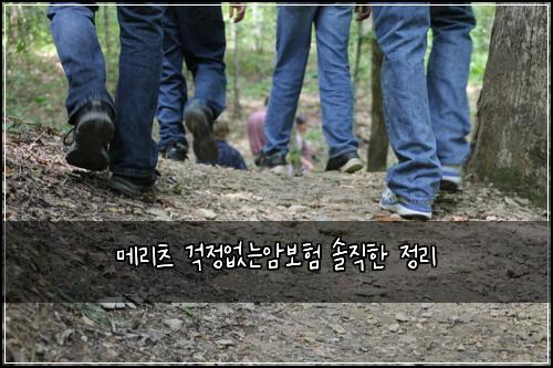 메리츠 걱정없는암보험 솔직한 정리