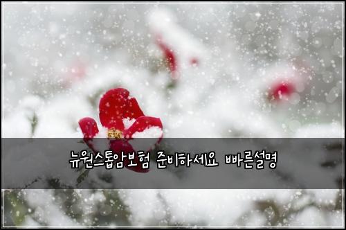 ๋ด์์คํฑ์๋ณดํ ์ค๋นํ์ธ์ ๋น ๋ฅธ์ค๋ช