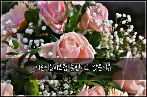 ์ด๋ฆฐ์ด์ค๋น๋ณดํ ํ๋๋น๊ต ๋ง์์ด์
