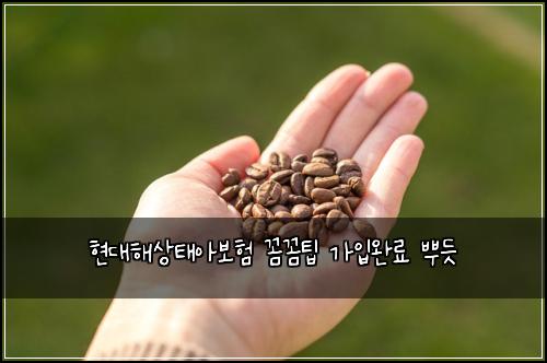 ํ๋ํด์ํ์๋ณดํ ๊ผผ๊ผผํ ๊ฐ์
์๋ฃ ๋ฟ๋ฏ