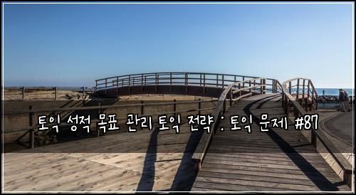 토익 성적 목표 관리 토익 전략 : 토익 문제 #87