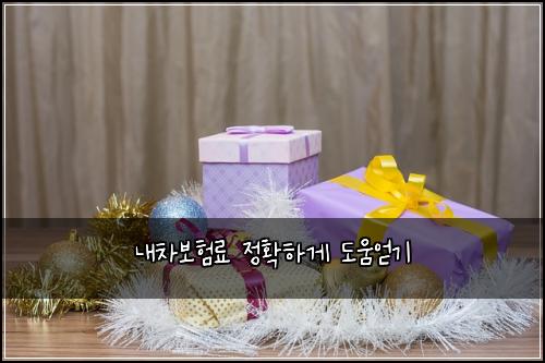 ๋ด์ฐจ๋ณดํ๋ฃ ์ ํํ๊ฒ ๋์์ป๊ธฐ