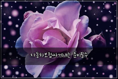 ์๋์ฐจ๋ณดํ์ธ๊ฒ๋ด๋ ์ค๋นํ์