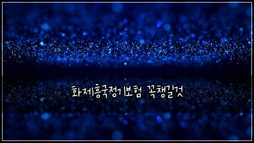 화제흥국정기보험 꼭챙길것 
