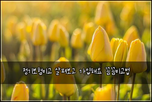 ์ ๊ธฐ๋ณดํ๋น๊ต ์ดํด๋ณด๊ณ ๊ฐ์
ํด์ ๊ผผ๊ผผ๋น๊ต๋ฒ