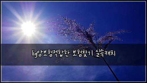 lig์๋ณดํ์ ํฉํ ๋ณดํ์ฐพ๊ธฐ ์ค์์บ์น