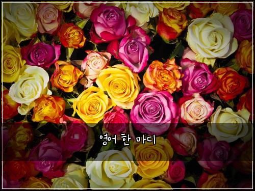 ์์ด ํ ๋ง๋