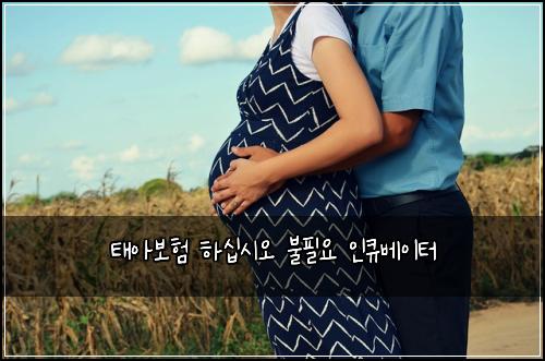 ํ์๋ณดํ ํ์ญ์์ค ๋ถํ์ ์ธํ๋ฒ ์ดํฐ