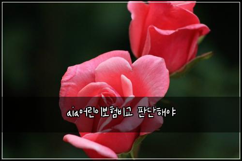 aia어린이보험비교 판단해야