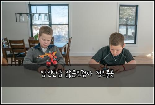 암진단금 많은보험사 정보볼곳
