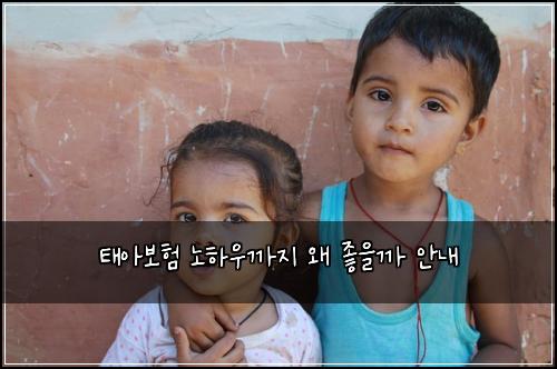 태아보험 노하우까지  왜 좋을까 안내