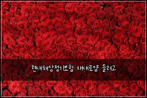 현대해상정기보험 재대로얌  들려고