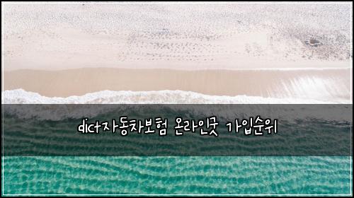dict์๋์ฐจ๋ณดํ ์จ๋ผ์ธ๊ตฟ ๊ฐ์
์์