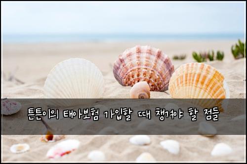 튼튼이의 태아보험 가입할 때 챙겨야 할 점들