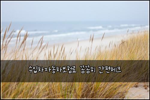 수입차자동차보험료 꼼꼼히 간편체크