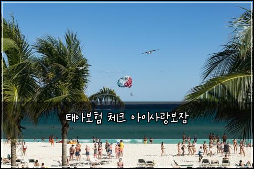 태아보험 체크  아이사랑보장