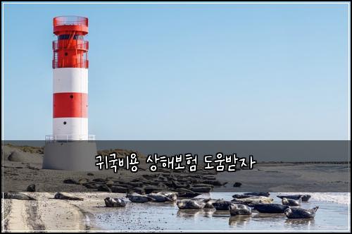 귀국비용 상해보험 도움받자 
