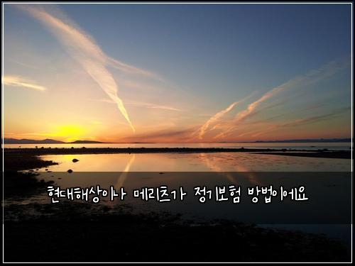 ํ๋ํด์์ด๋ ๋ฉ๋ฆฌ์ธ ๊ฐ ์ ๊ธฐ๋ณดํ ๋ฐฉ๋ฒ์ด์์
