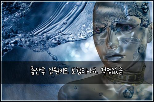 ์ถ์ฐํ ์
์๋น๋ ๋ณดํ๋๋์ ๊ฑฑ์ ์์